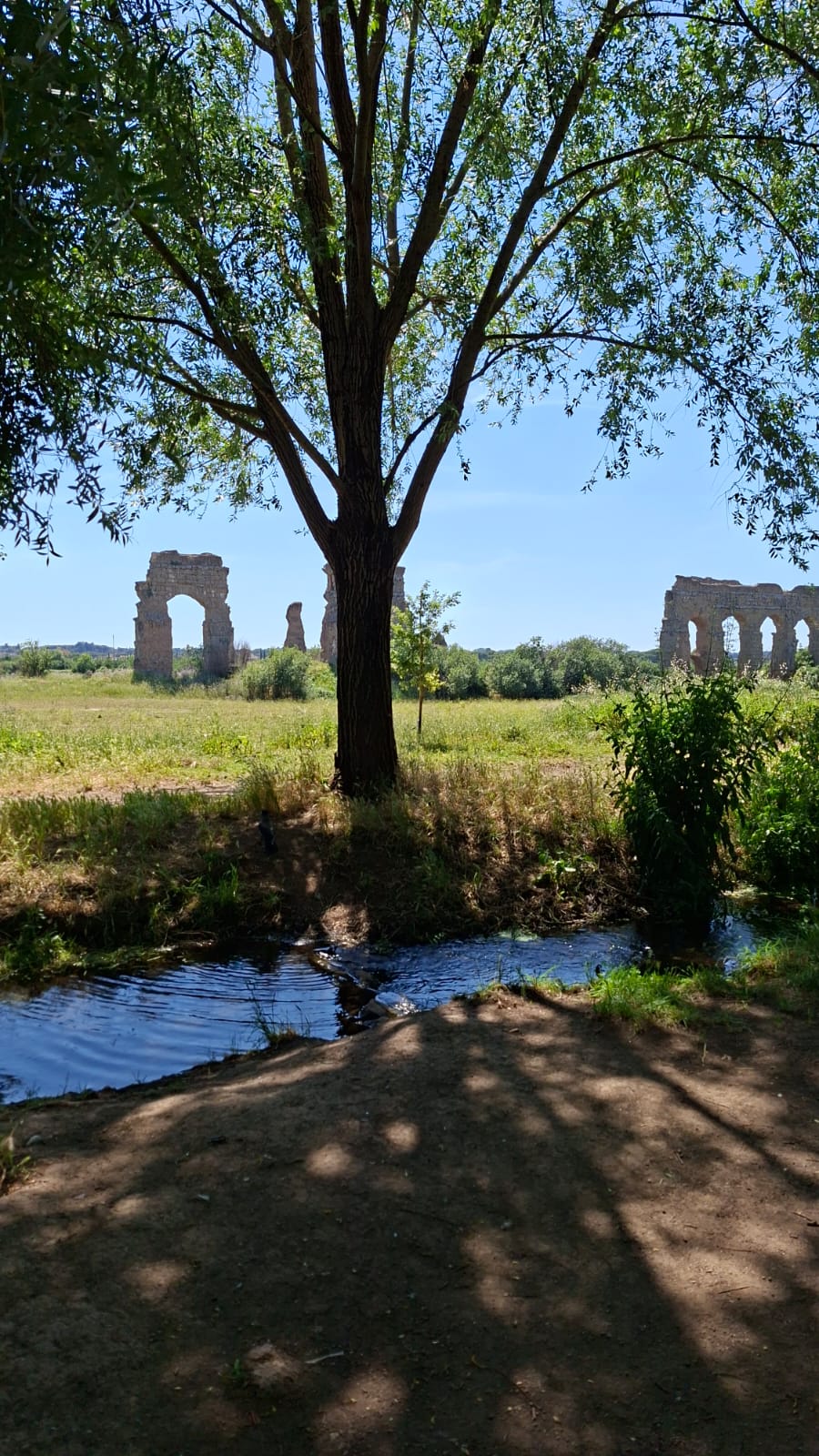 Vista da terra del fosso dell'Acqua Marrana all'interno del Parco degli Acquedotti, nel contesto dell'Agro Romano.
