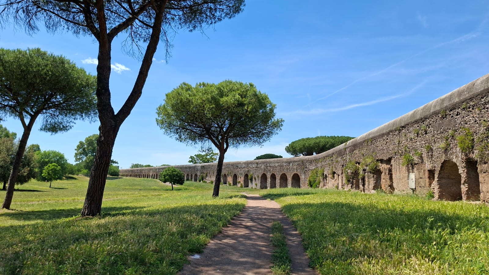 Vista da terra delle arcate dell'Acquedotto Felice nel tratto compreso all'interno del Parco degli Acquedotti. L'immagine evidenzia il rapporto tra l'infrastruttura idraulica rinascimentale e il paesaggio aperto dell'Agro Romano, mettendo in risalto la monumentalità delle strutture e la loro integrazione nel contesto urbano contemporaneo.